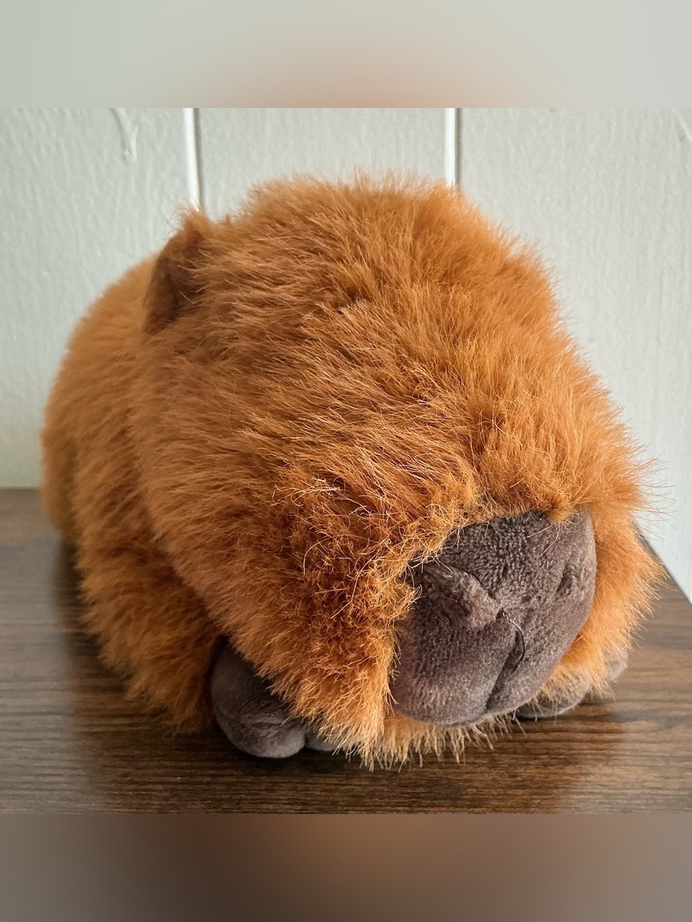 Rare Out Of Stock the FAO Schwarz Adopt-A-Pets Stuffed Animal Capybara Plush Toy